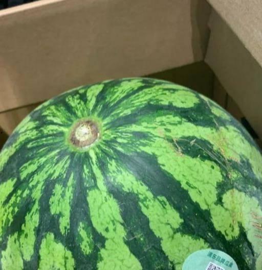 各路明星吃瓜真假,明星吃瓜真假难辨，真相与谣言交织