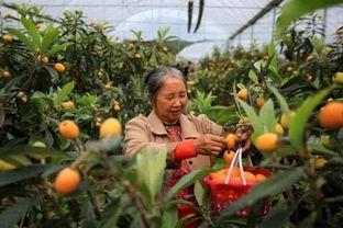 大足吃瓜,探寻美食背后的故事与风情