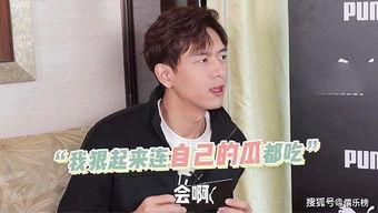 李现谈吃瓜,娱乐圈的“吃瓜”真相与趣味
