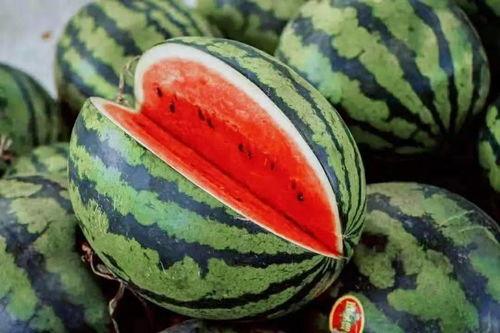 皇城吃瓜指南,揭秘宫廷美食背后的宫廷秘闻