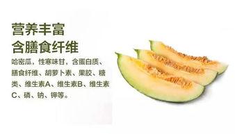 哈密吃瓜技巧,解锁夏日吃瓜新技巧，尽享甜蜜时光
