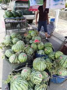 汾阳吃瓜事件声音,一场网络热议的音浪风暴