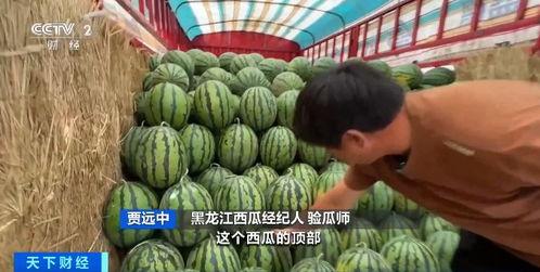 麻醉科吃瓜,揭秘麻醉界的“吃瓜”故事