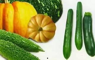 酸几吃瓜,揭秘娱乐圈的酸甜苦辣