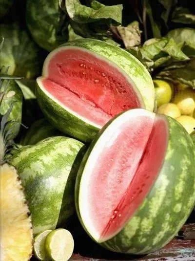 购买吃瓜图片大全,盘点全网热门吃瓜瞬间