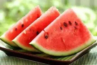 上班吃瓜原视频,揭秘办公室里的“秘密花园”