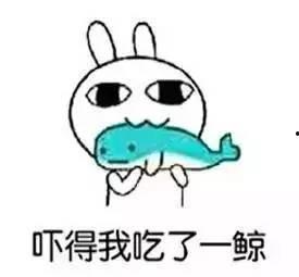 吃瓜群众看人生,吃瓜群众视角下的多彩人生画卷